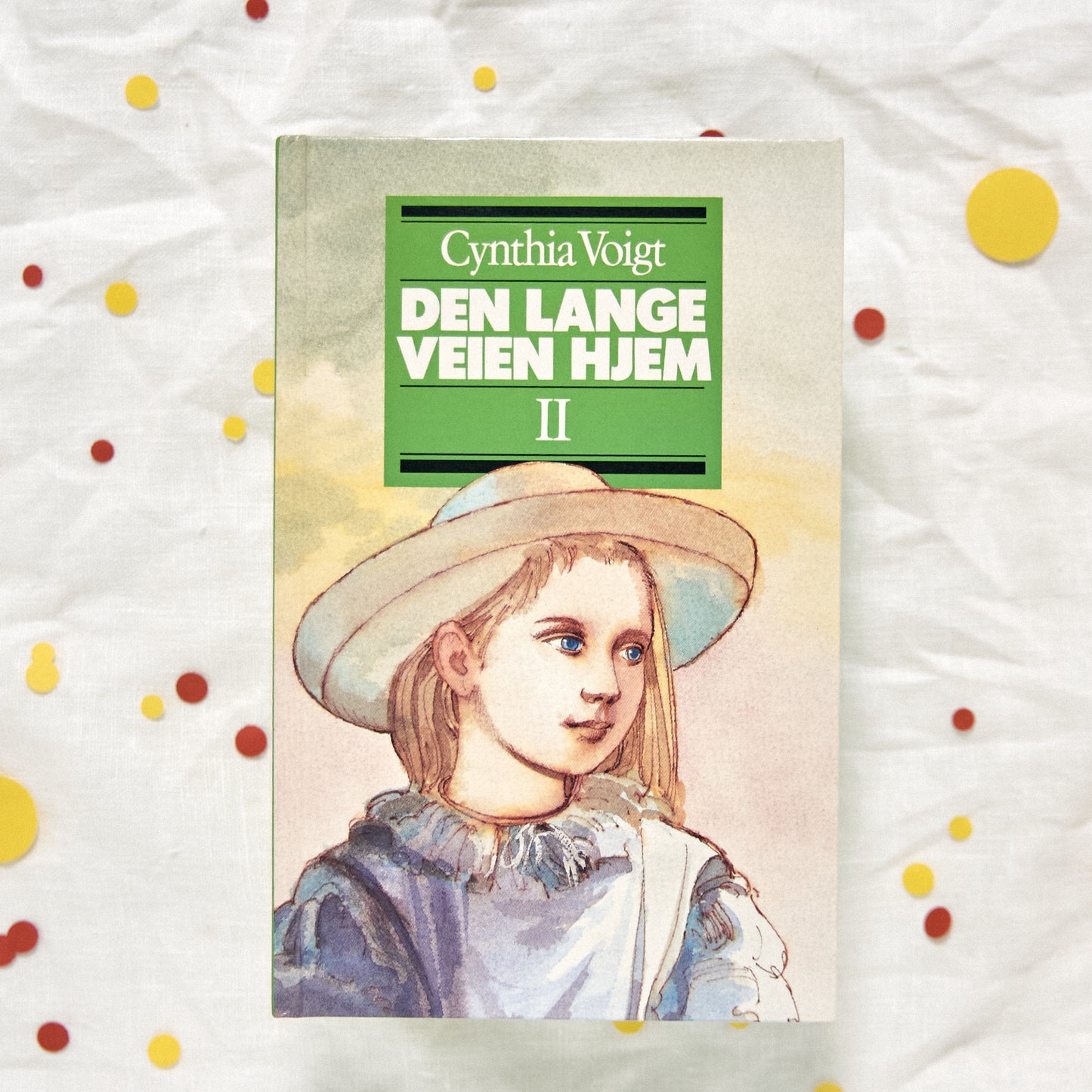 Den lange veien hjem II