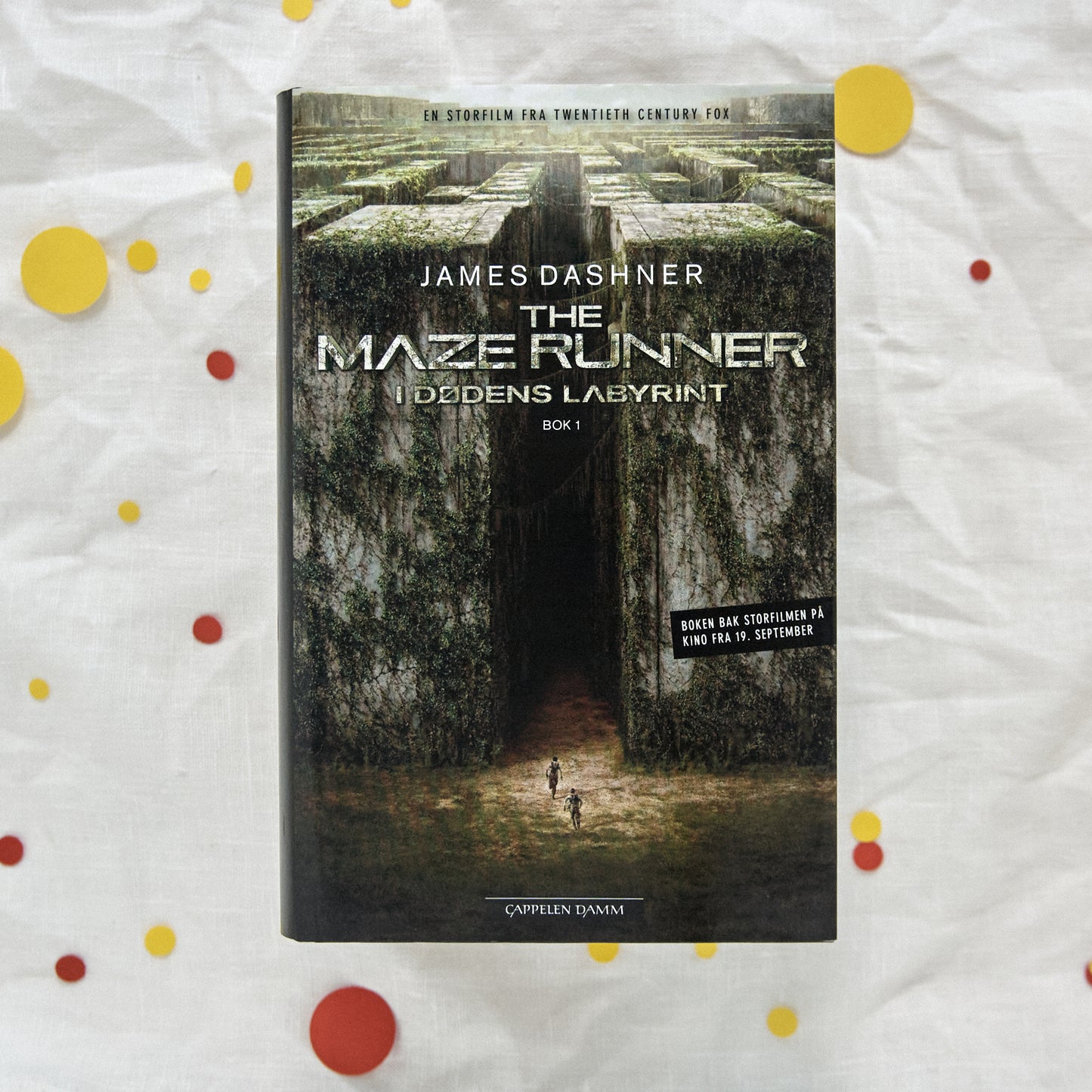 I dødens labyrint (Maze runner #1)