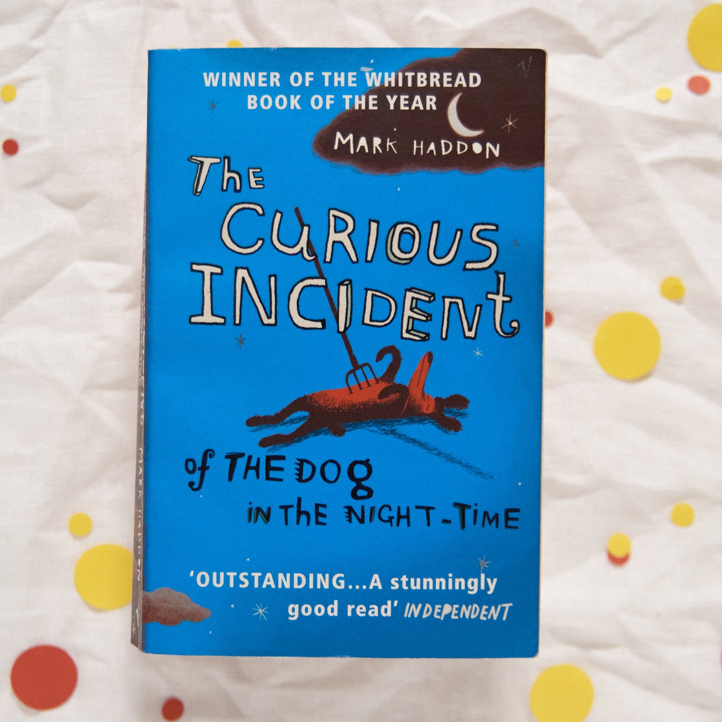 The curious incident of the dog in the night-time