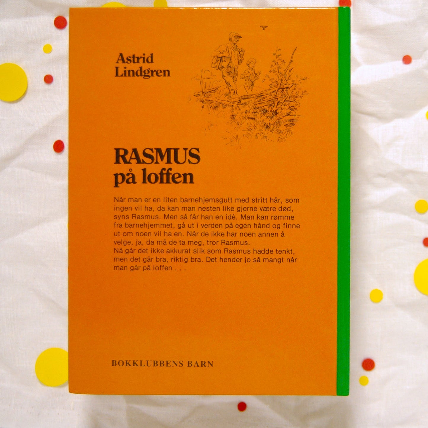 Rasmus på loffen