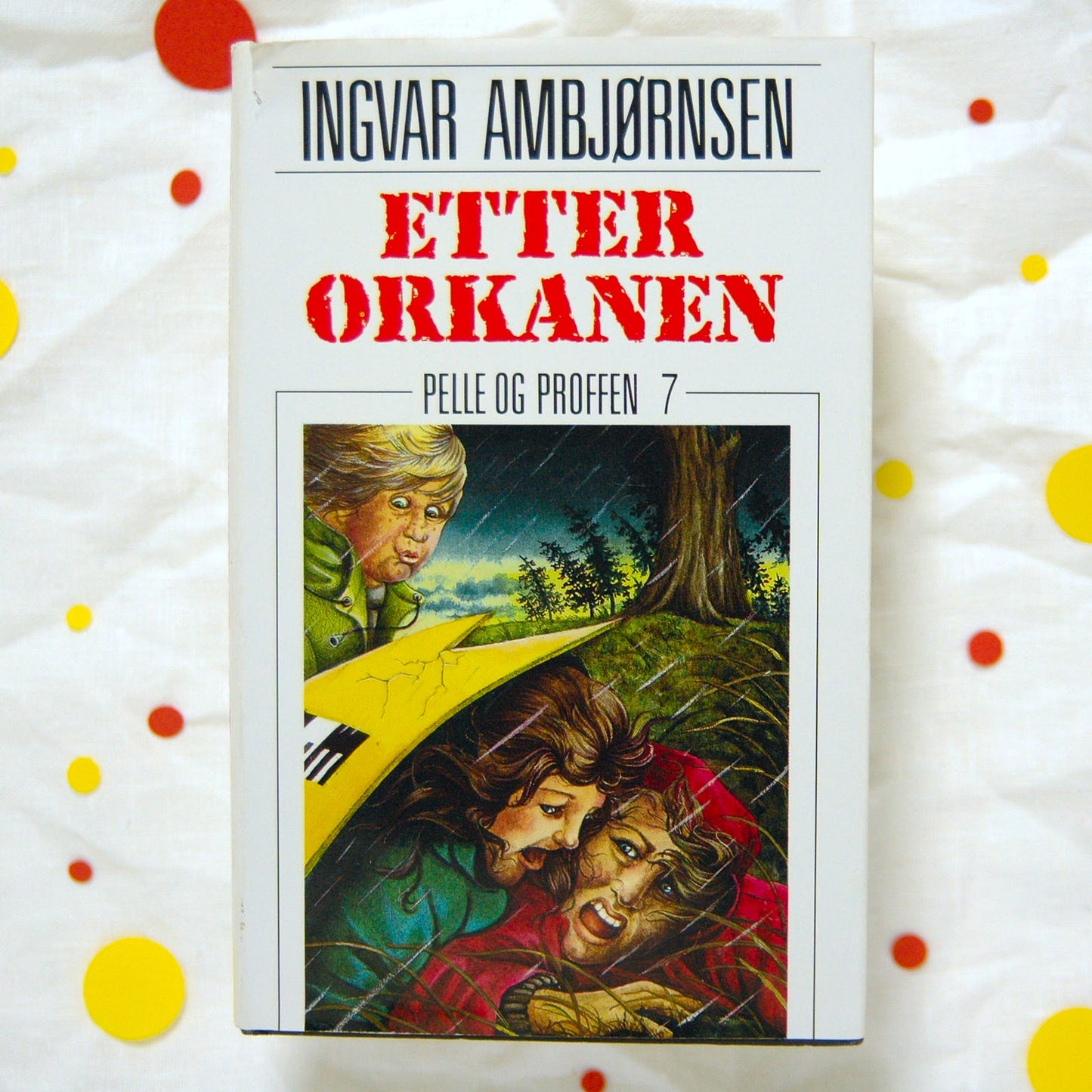 Etter orkanen - Pelle og proffen #7 av Ingvar Ambjørnsen