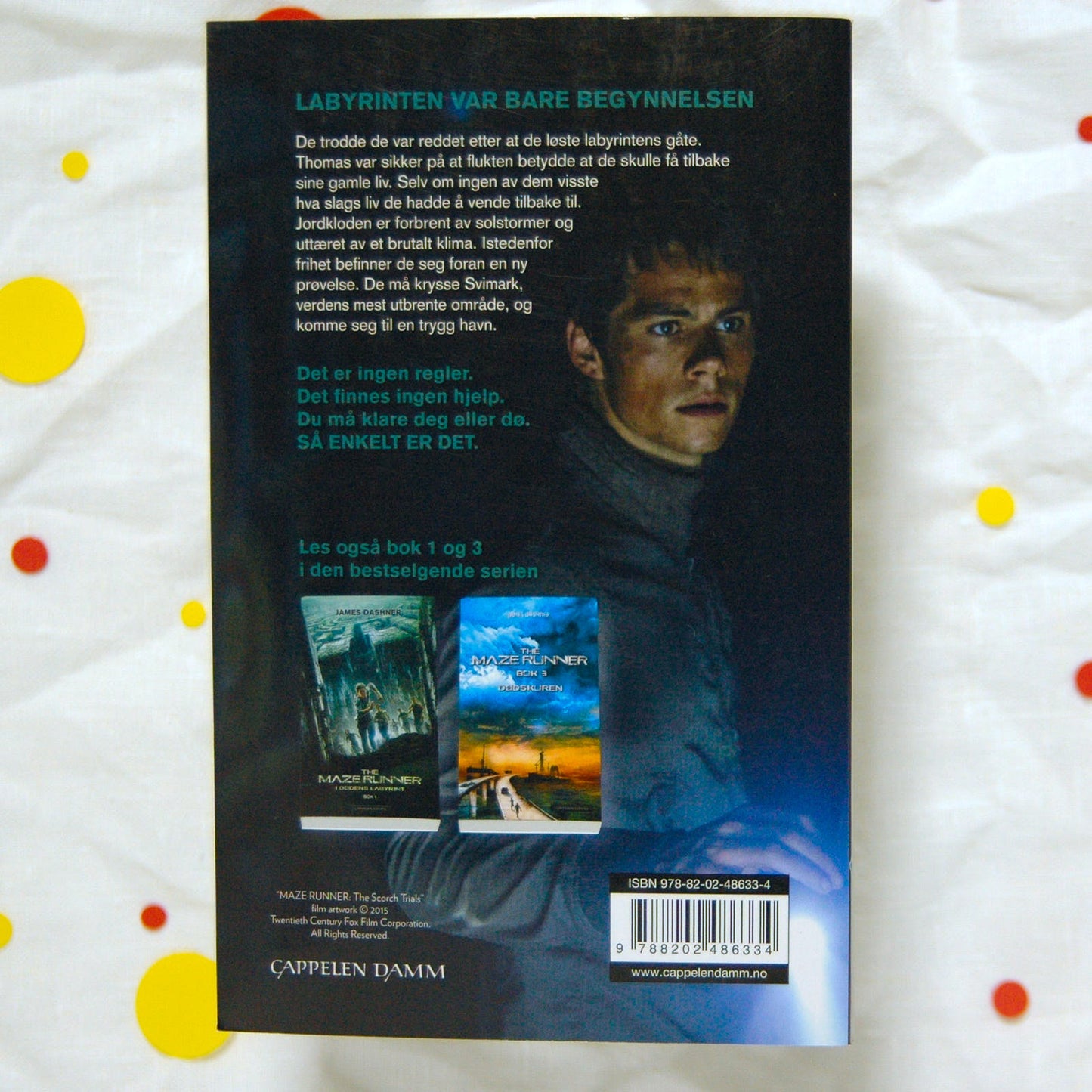 The maze runner - Ildprøven