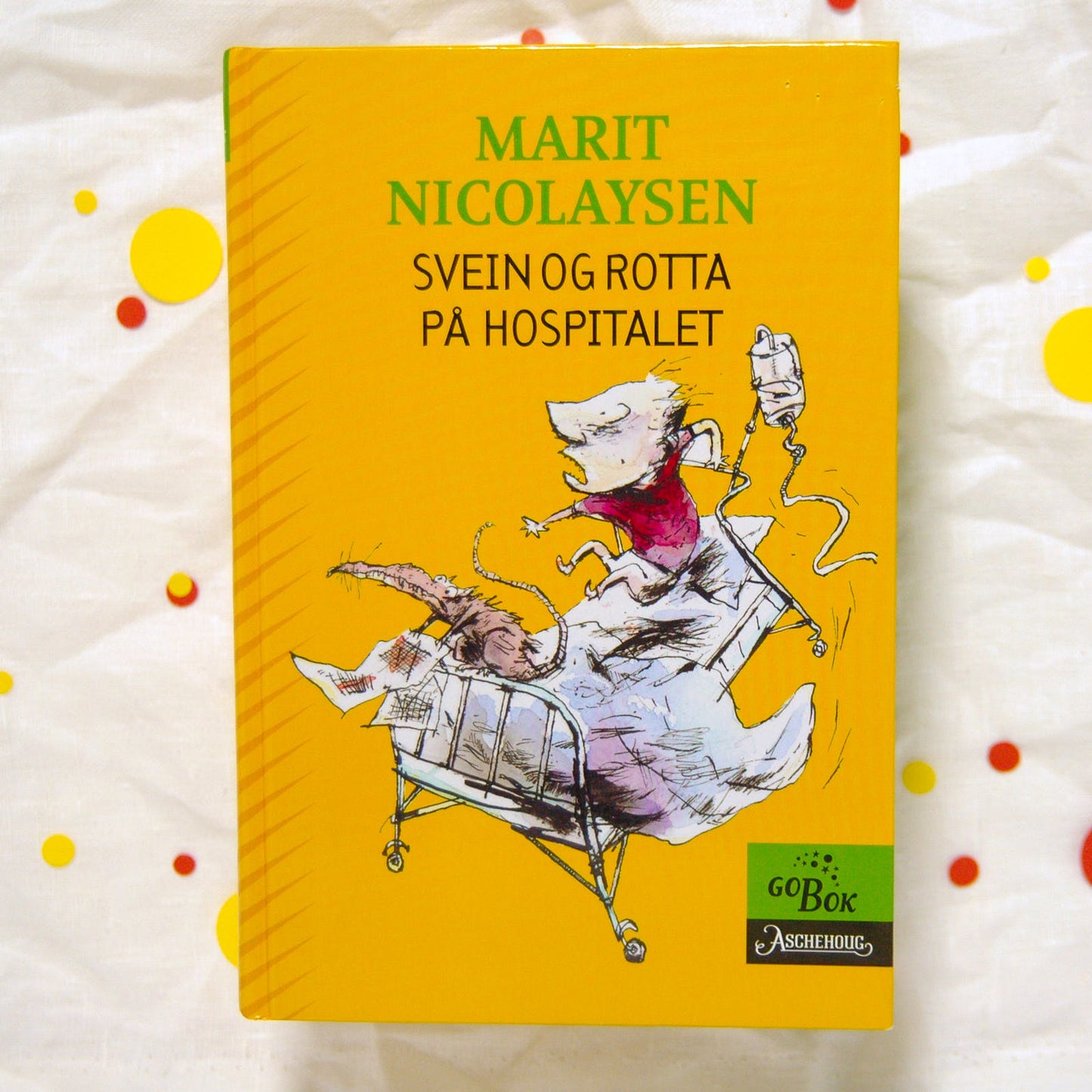 Svein og rotta på hospitalet av Marit Nicolaysen