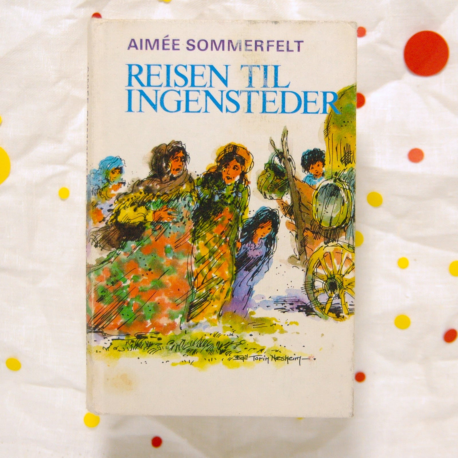 Reisen til ingensteder av Aimée Sommerfelt