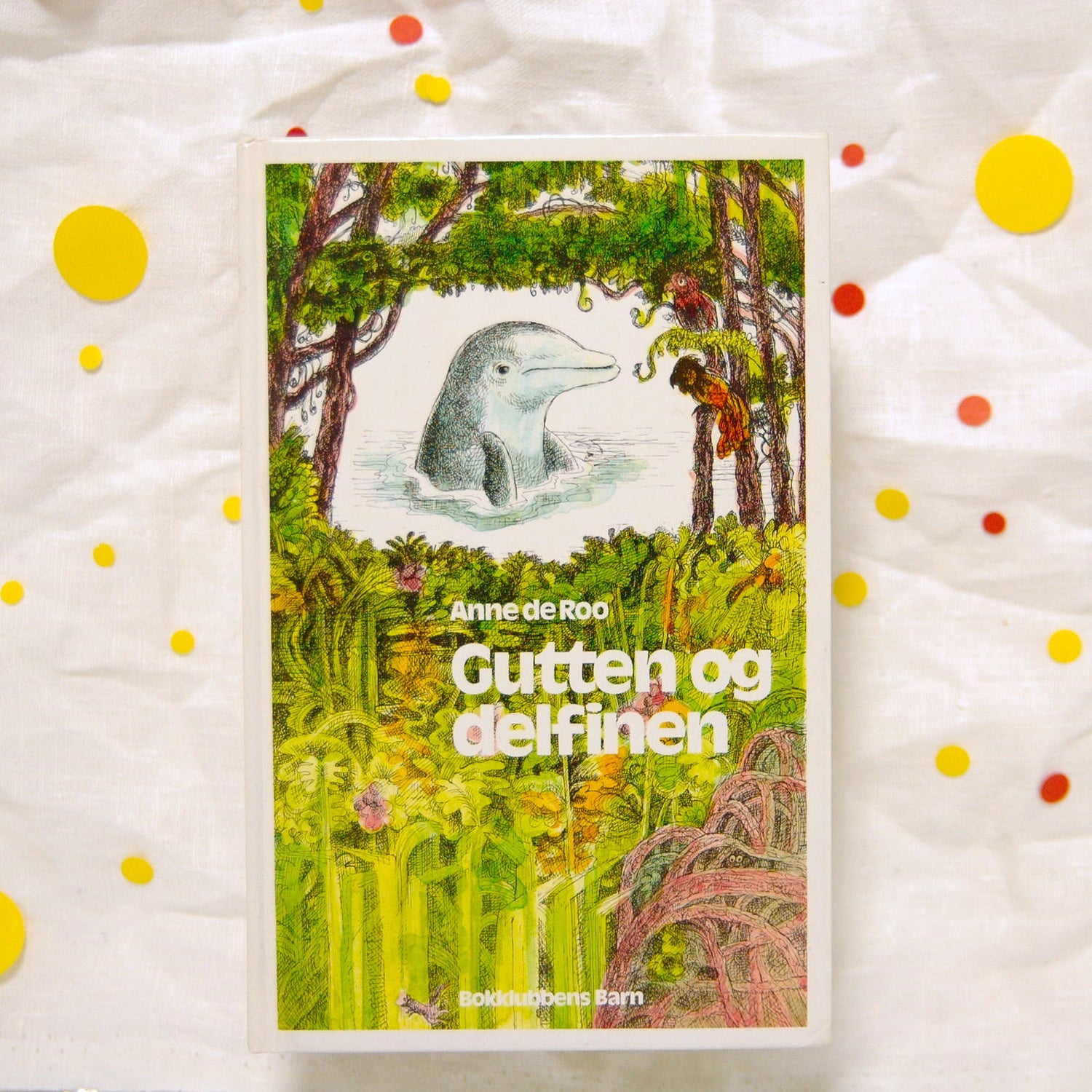Gutten og delfinen av Anne de Roo