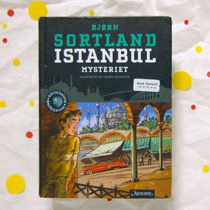 Istanbul-mysteriet av Bjørn Sortland