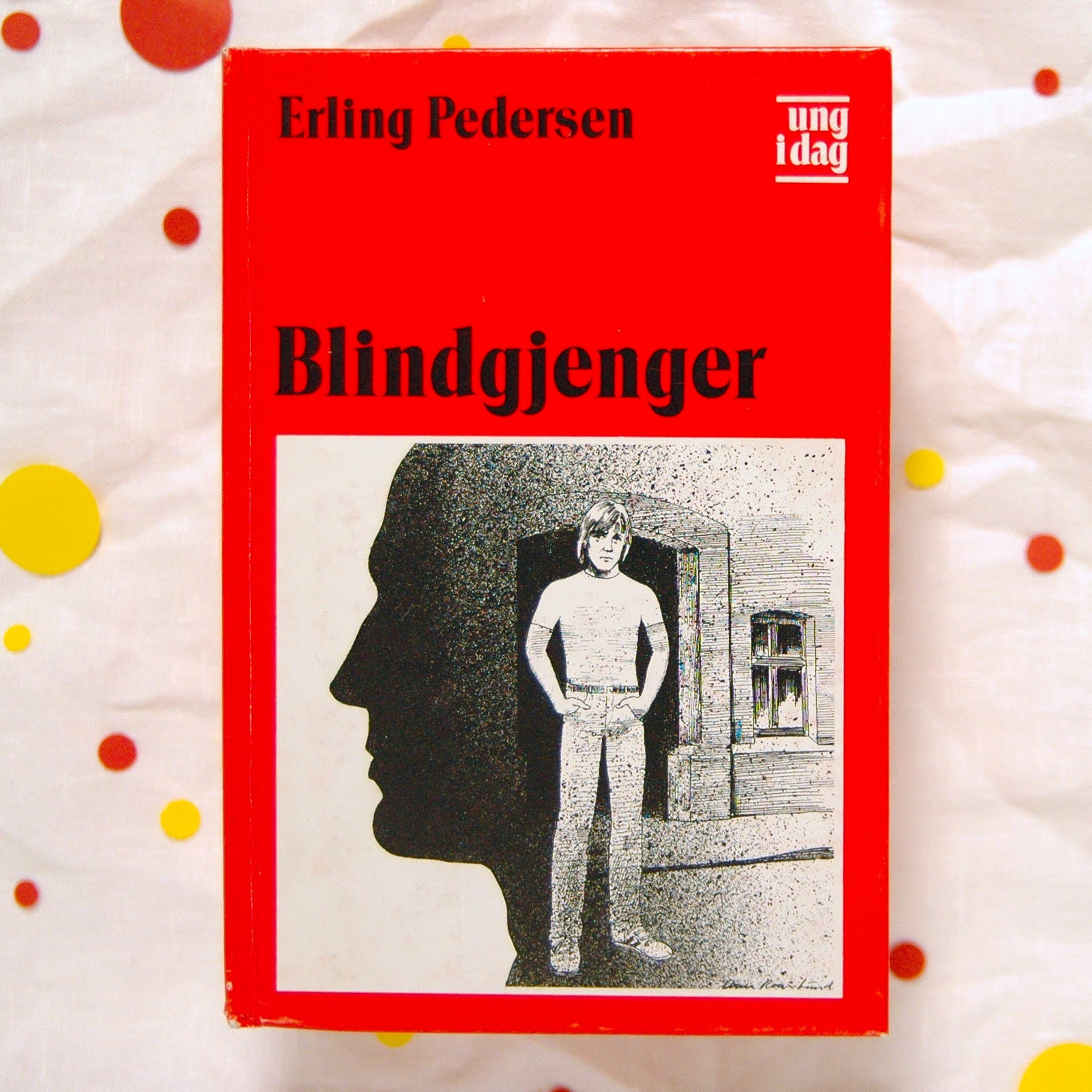 Blindgjenger av Erling Pedersen