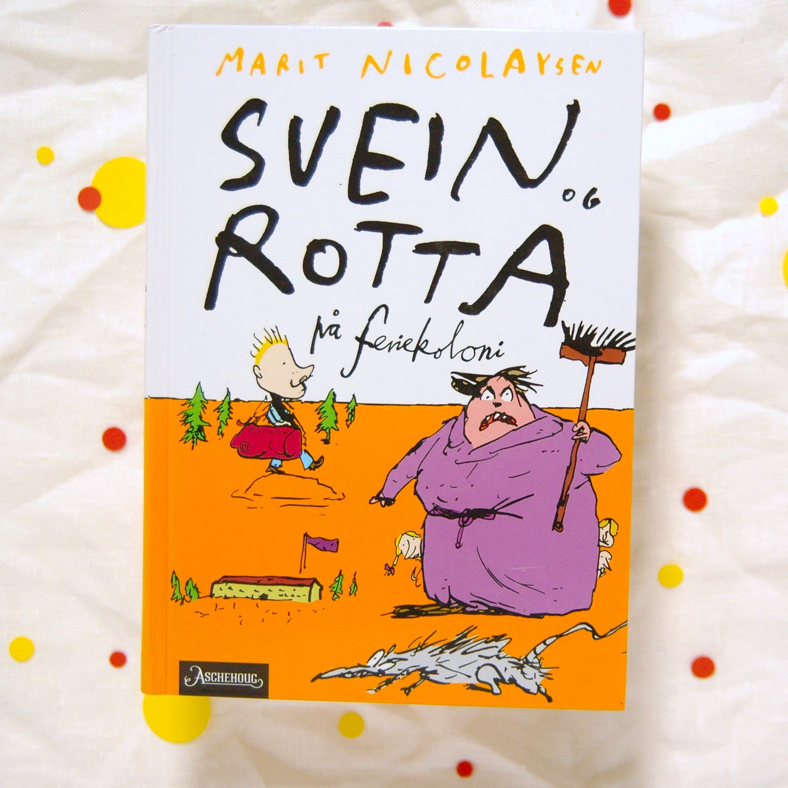 Svein og rotta på feriekoloni av Marit Nicolaysen